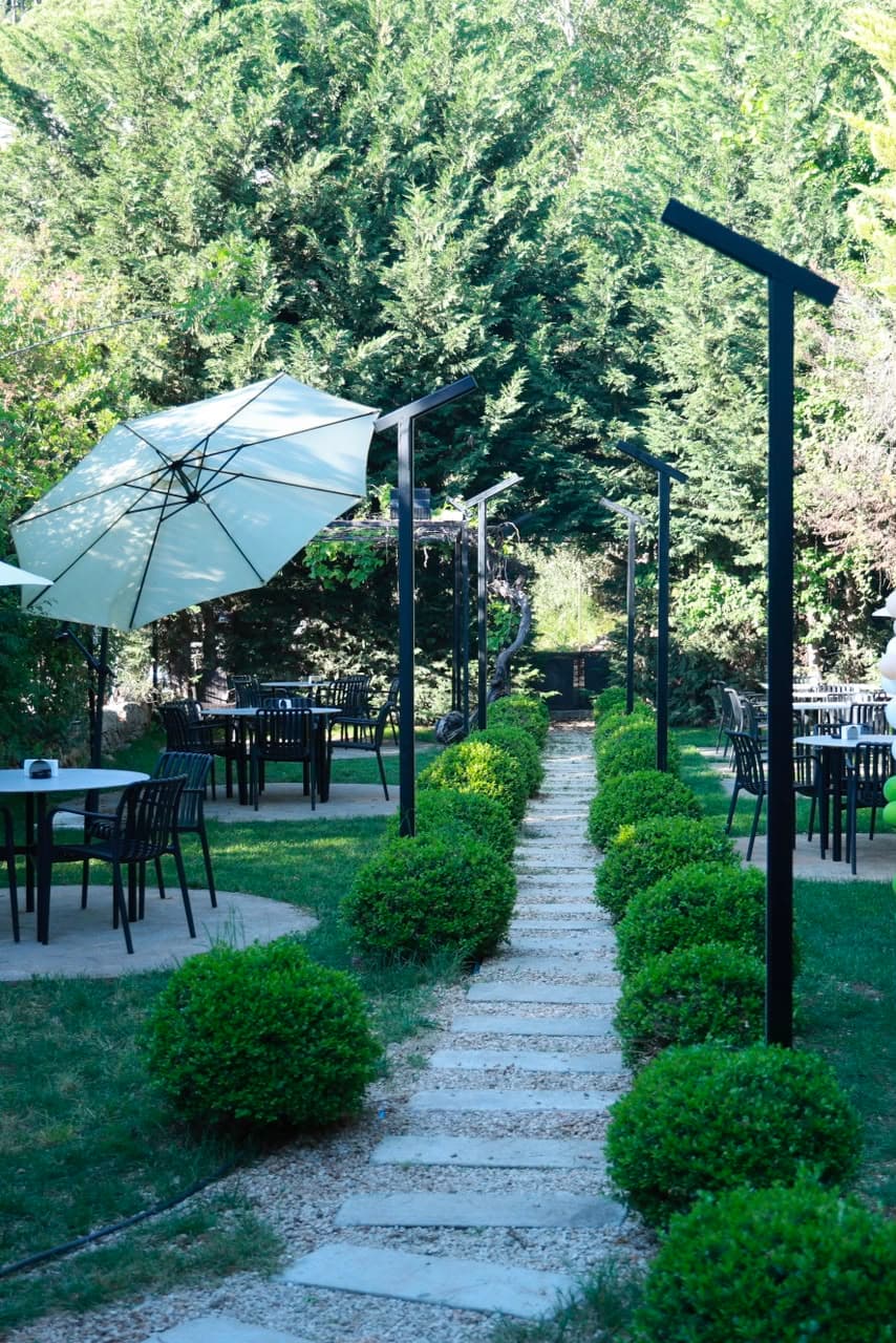A bright garden pathway between the trees in daylight