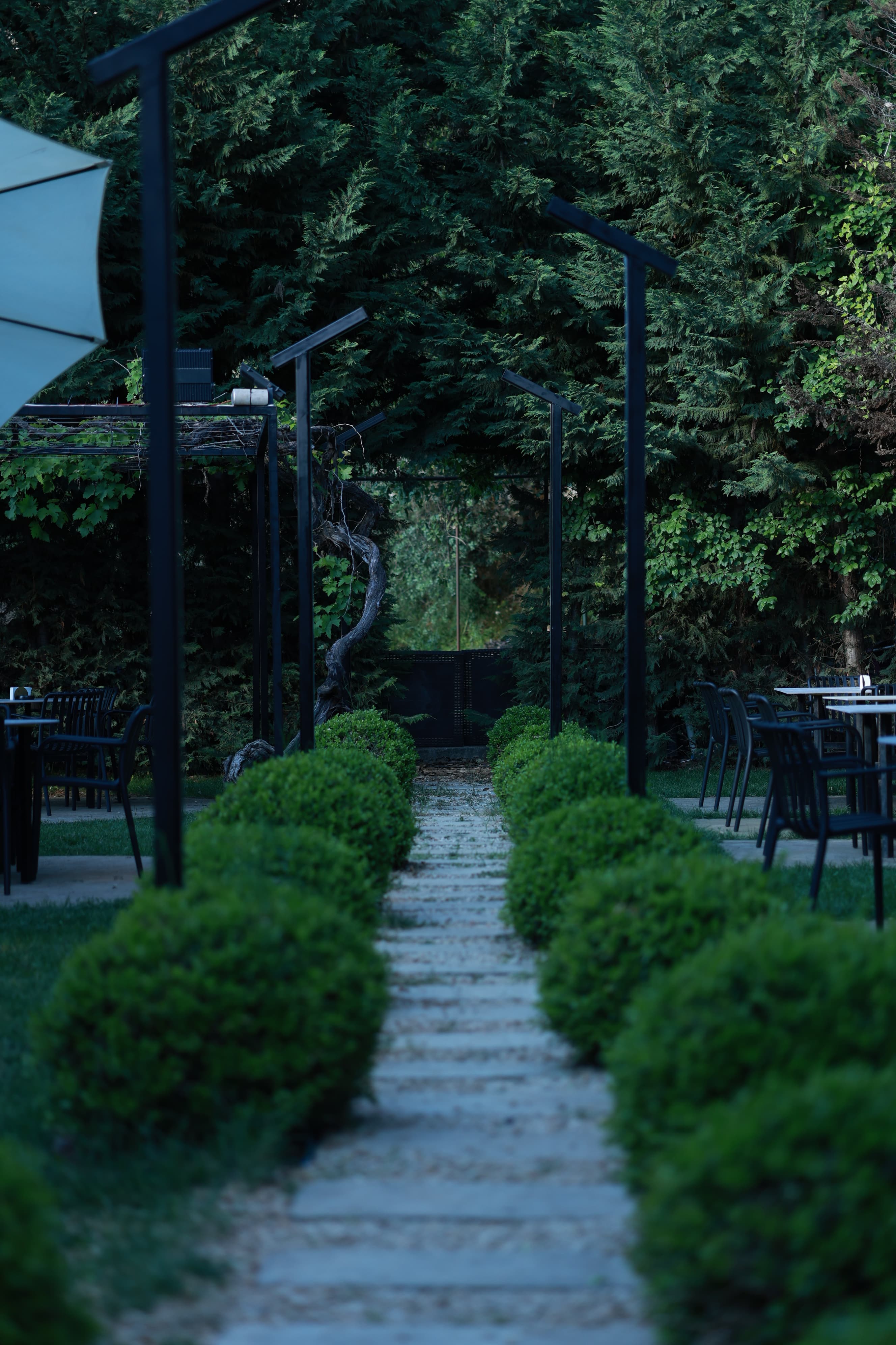 The garden pathway settling into evening light