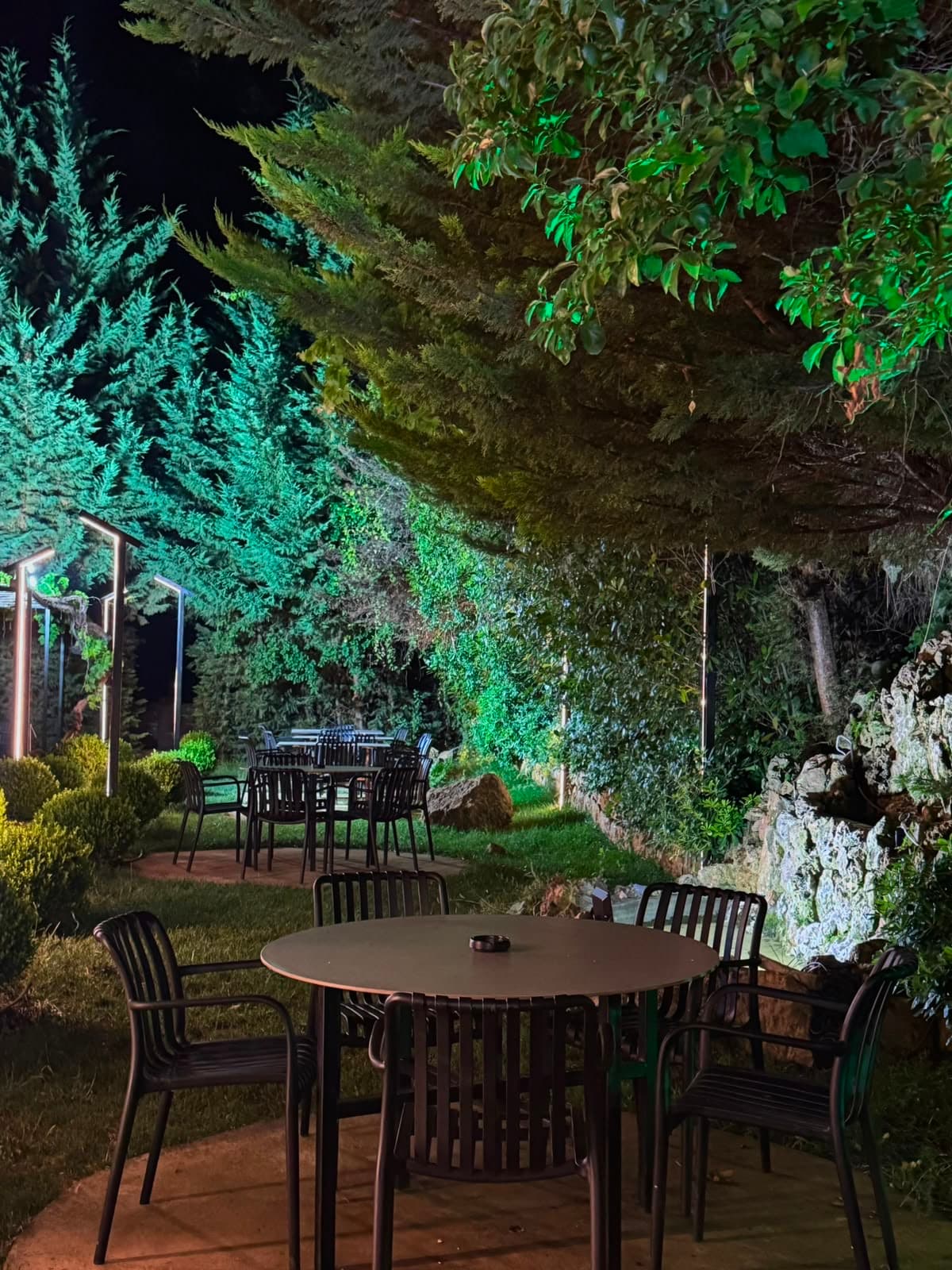 The garden at night, tables glowing under the lit trees